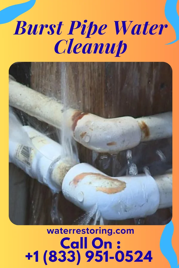 Burst Pipe Water Cleanup in Coats, KS