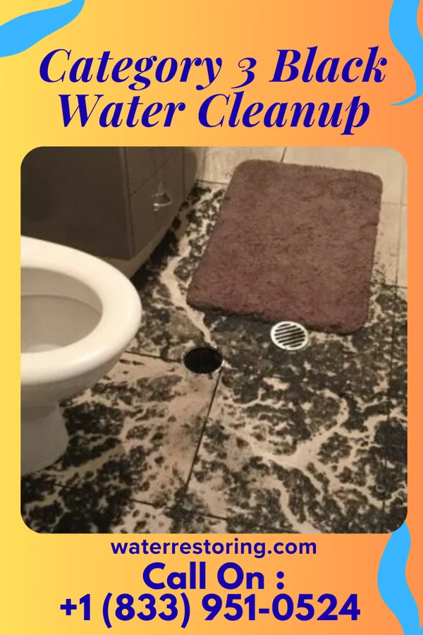 Category 3 Black Water Cleanup in Coats, KS