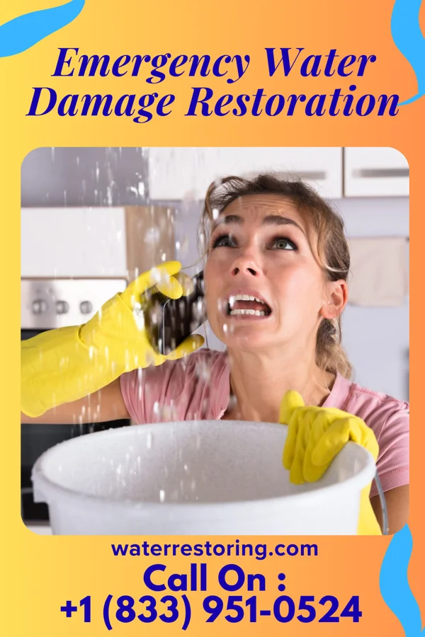 Emergency Water Damage Restoration in Coats, KS