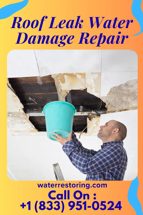 Roof Leak Water Damage Repair in Coats, KS